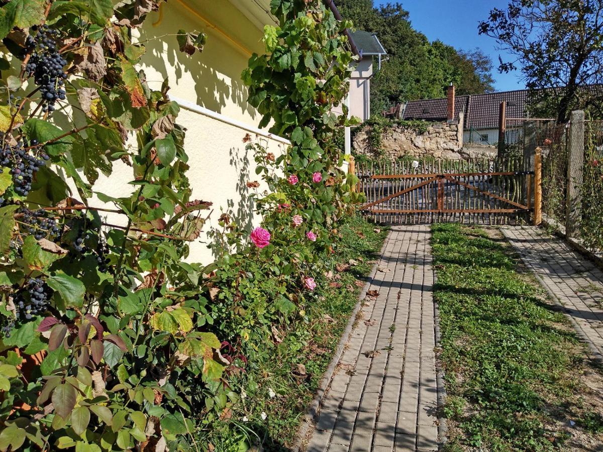 Lately Renovated Country House Тренчин Экстерьер фото